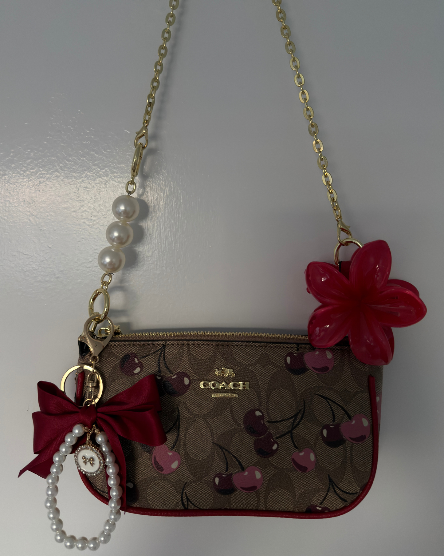 Brown Cherrys purse