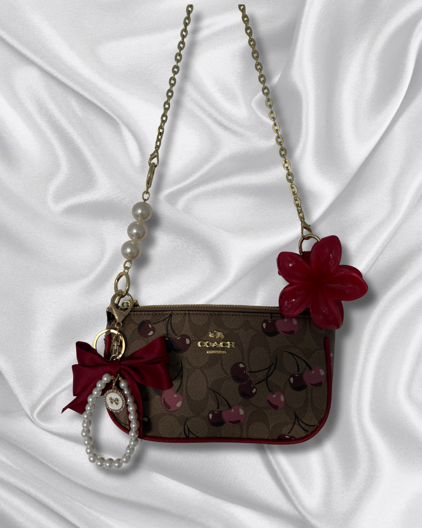Brown Cherrys purse